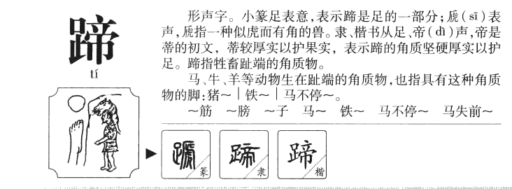 蹄