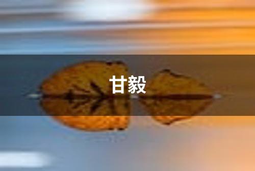 甘毅