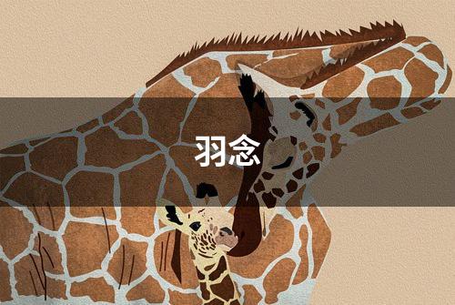 羽念