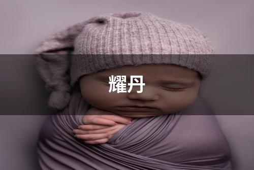 耀丹