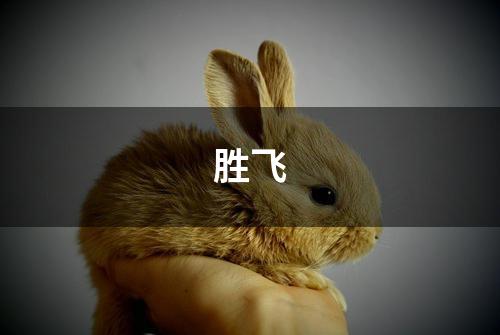 胜飞