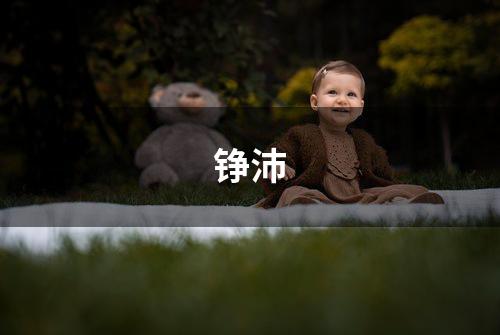 铮沛