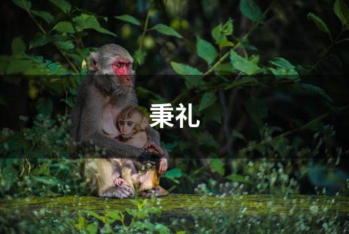 秉礼