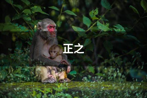 正之