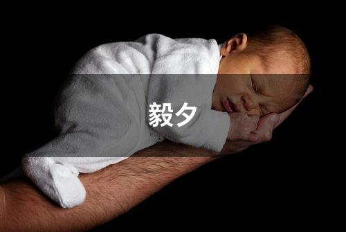 毅夕