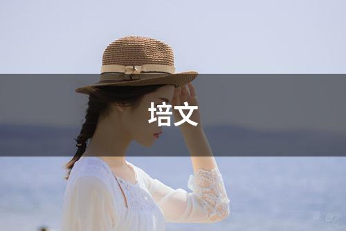 培文