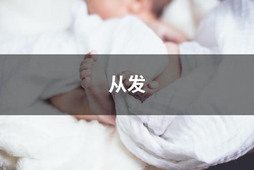 从发