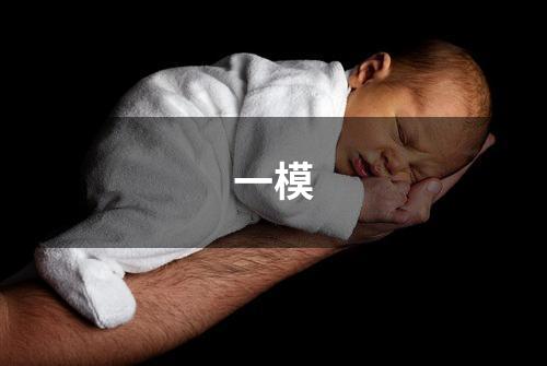 一模