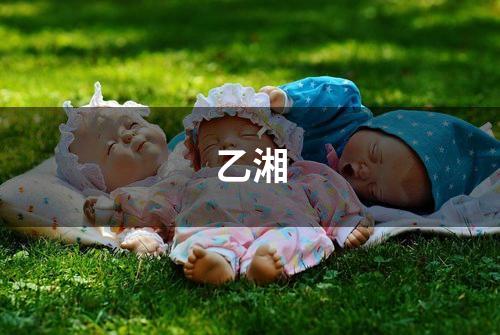 乙湘