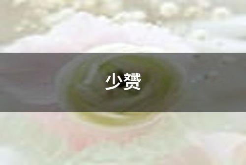 少赟