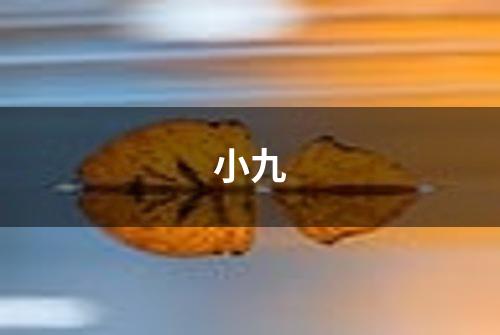 小九