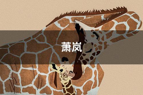 萧岚