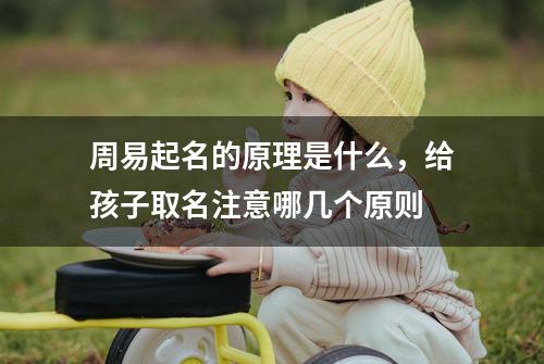 周易起名的原理是什么，给...