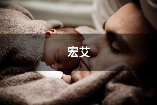 宏艾