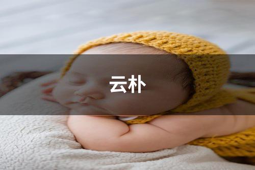 云朴