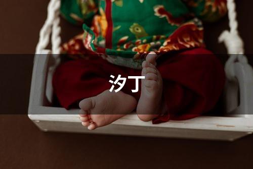 汐丁