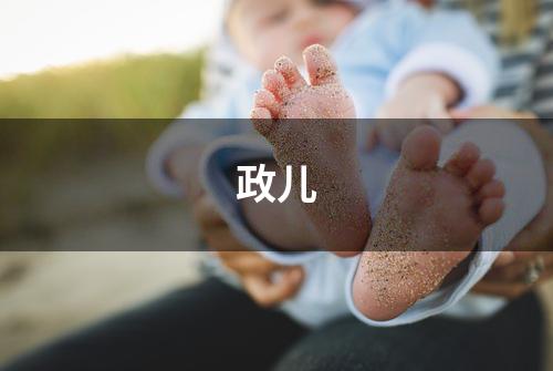 政儿