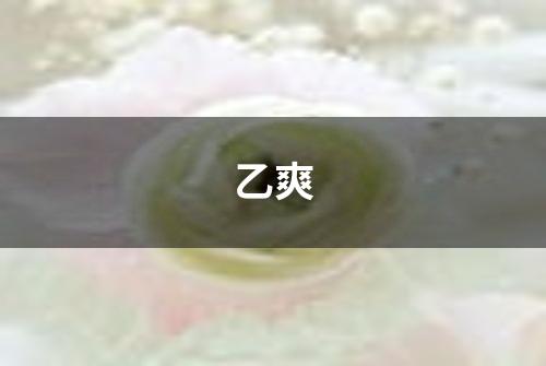 乙爽