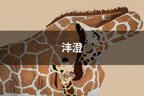 沣澄