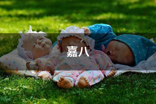 嘉八