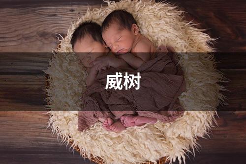威树