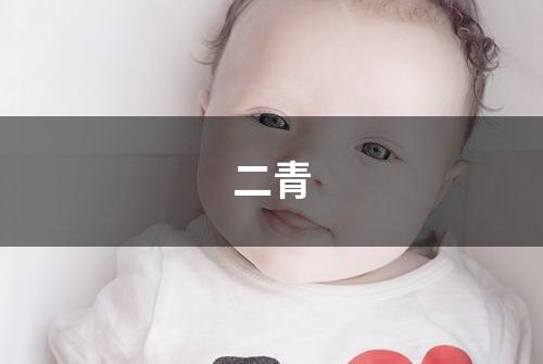 二青