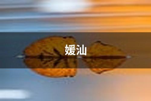媛汕