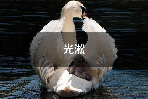 光淞