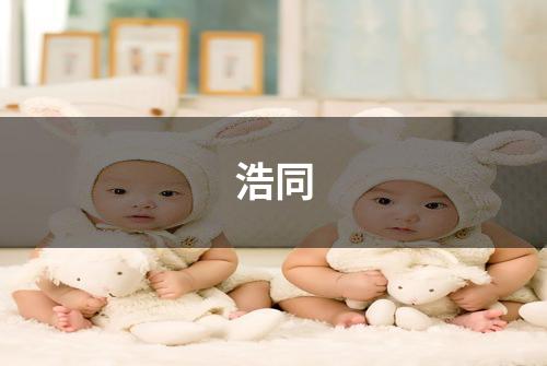 浩同