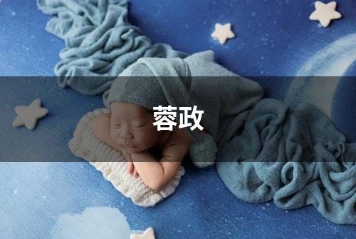 蓉政