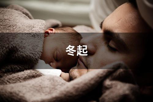 冬起