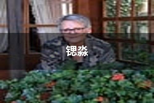 锶淼