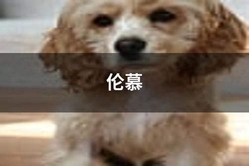 伦慕
