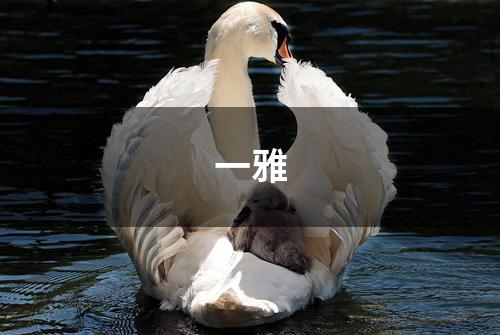 一雅