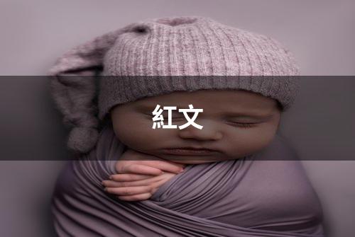 紅文