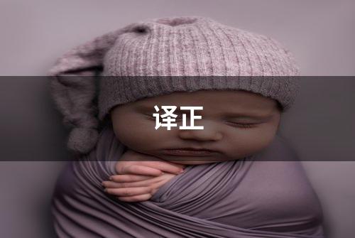 译正