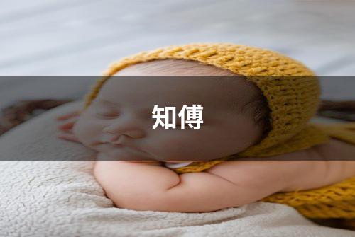 知傅