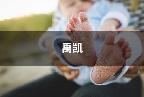 禹凯
