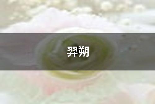 羿朔