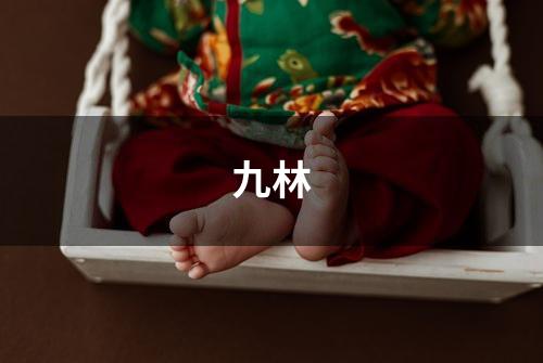 九林