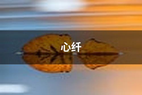 心纤
