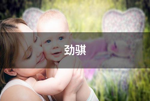 劲骐
