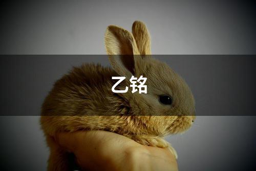 乙铭