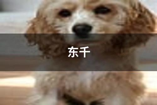 东千