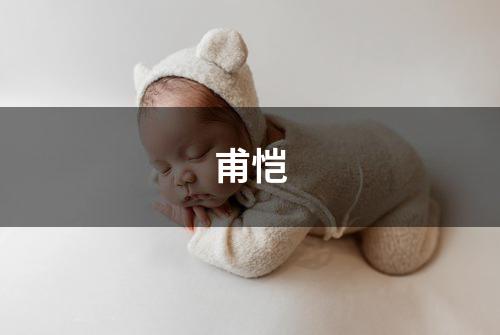 甫恺