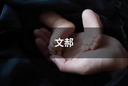 文郝