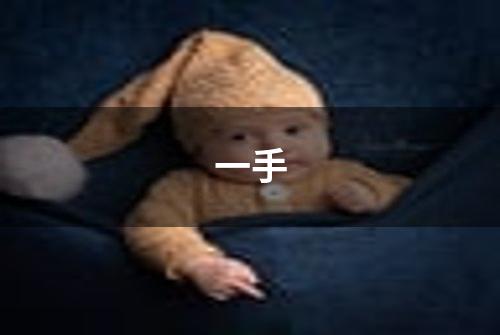 一手