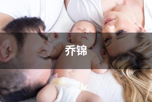 乔锦