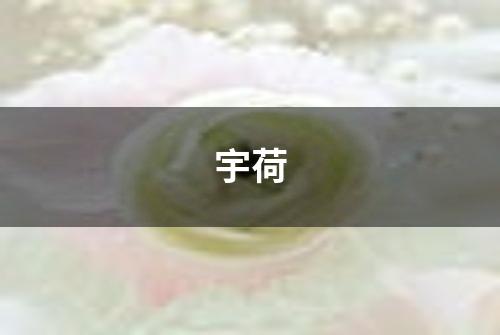 宇荷