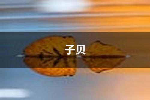 子贝